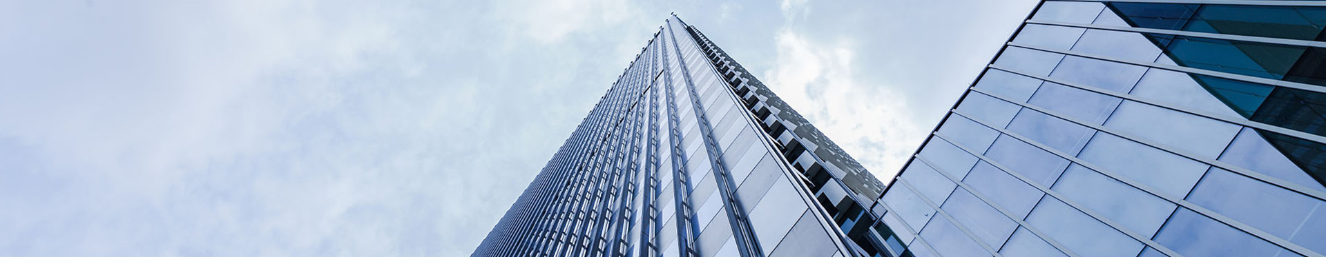 Company Profile